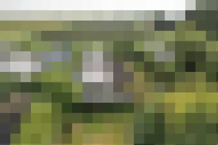 De Vriehof 10 Rohel thumbnail 23