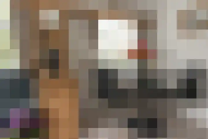 De Vriehof 10 Rohel thumbnail 4