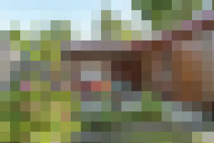 De Vriehof 33 Rohel thumbnail 10
