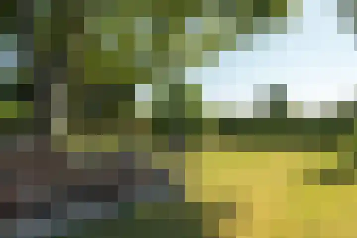 De Vriehof 33 Rohel thumbnail 16