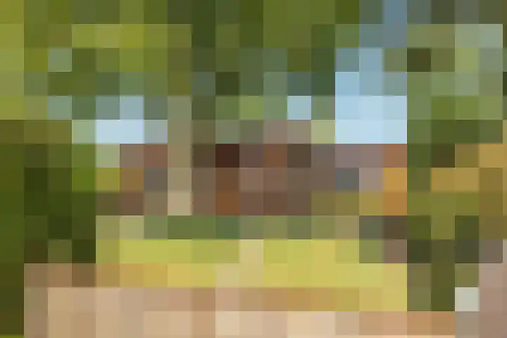 De Vriehof 33 Rohel thumbnail 18