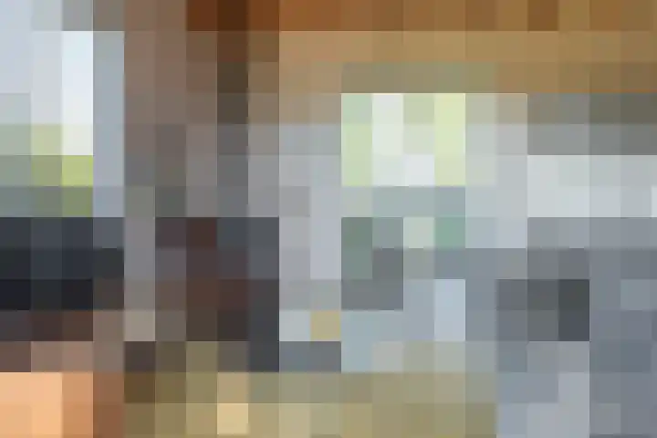 De Vriehof 33 Rohel thumbnail 30