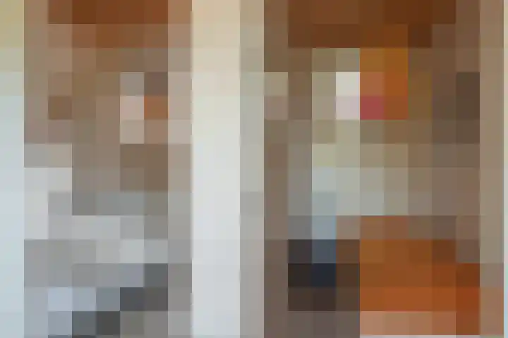 De Vriehof 33 Rohel thumbnail 33