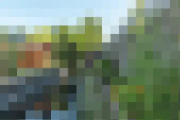 De Vriehof 33 Rohel thumbnail 42