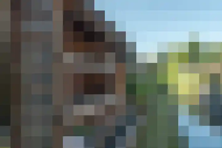 De Vriehof 33 Rohel thumbnail 43