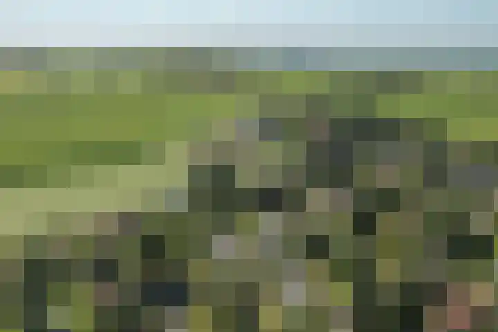 De Vriehof 33 Rohel thumbnail 44