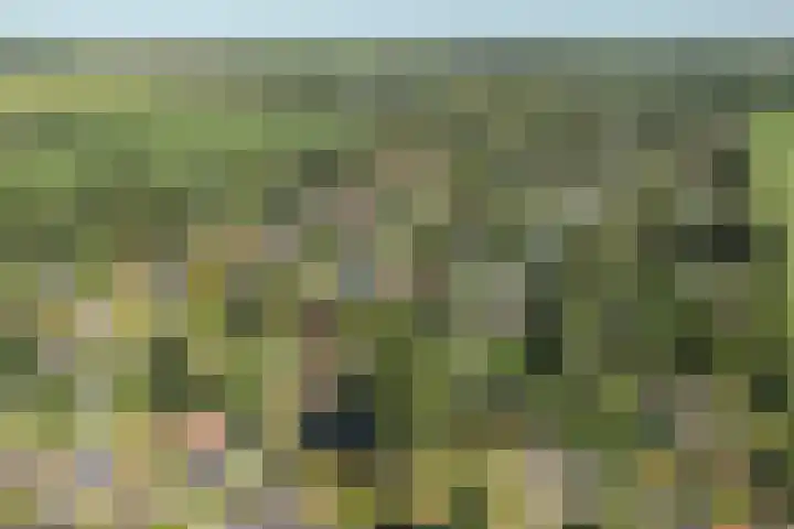 De Vriehof 33 Rohel thumbnail 46