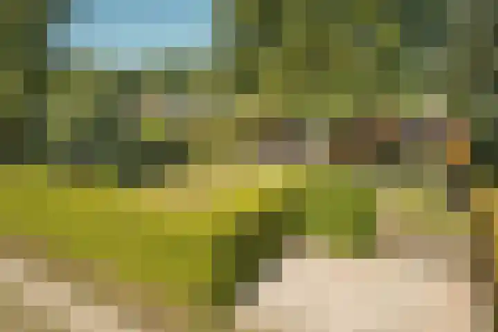 De Vriehof 33 Rohel thumbnail 47