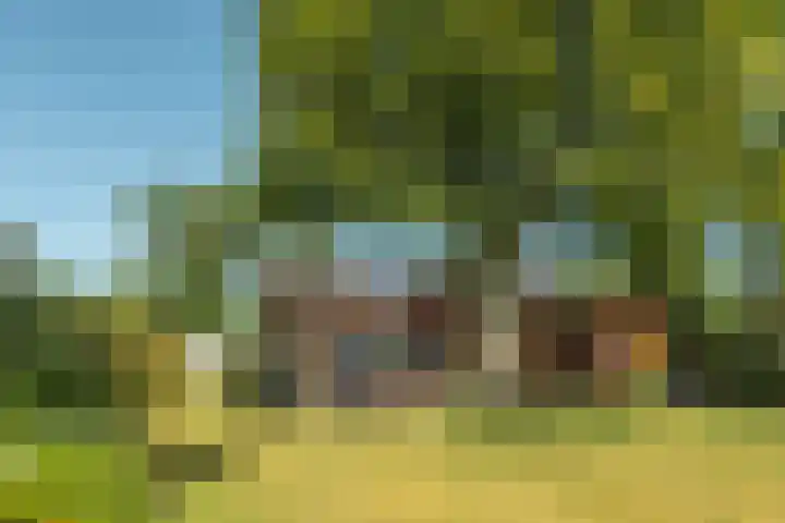 De Vriehof 33 Rohel thumbnail 51