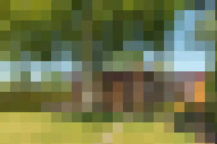 De Vriehof 33 Rohel thumbnail 7