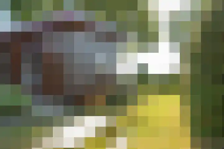 De Vriehof 33 Rohel thumbnail 9