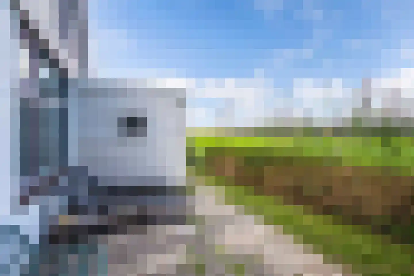 De Vriehof 6 Rohel thumbnail 28