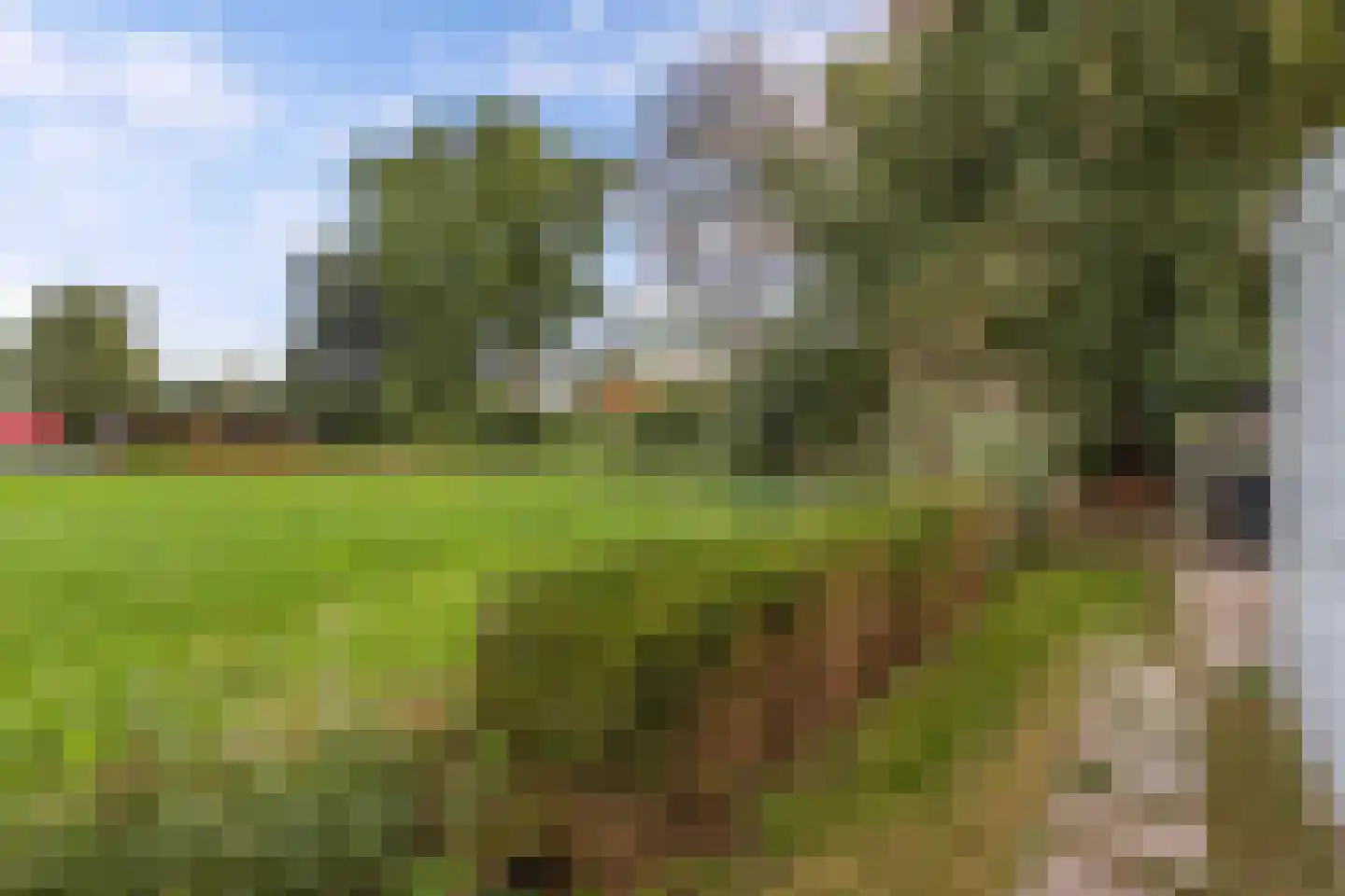 De Vriehof 6 Rohel thumbnail 30