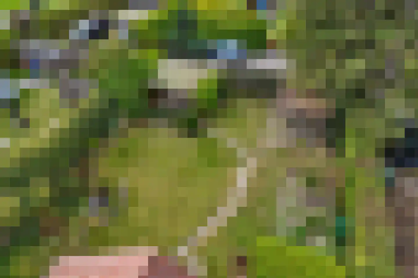 De Vriehof 6 Rohel thumbnail 36