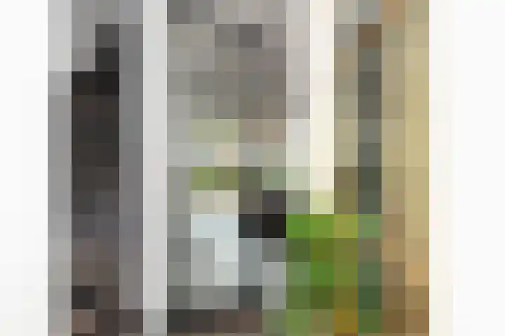 De Vriendschap 10 Zeewolde thumbnail 14