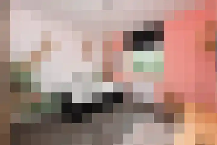 De Vriendschap 10 Zeewolde thumbnail 17
