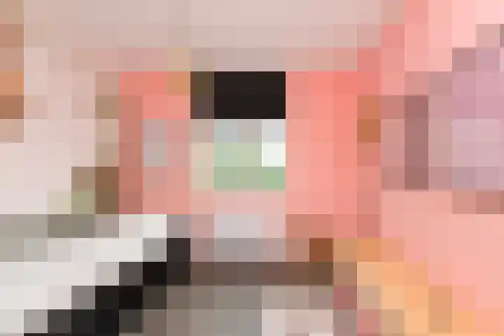 De Vriendschap 10 Zeewolde thumbnail 18