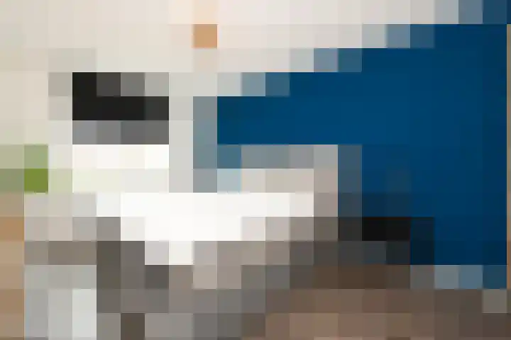 De Vriendschap 10 Zeewolde thumbnail 20