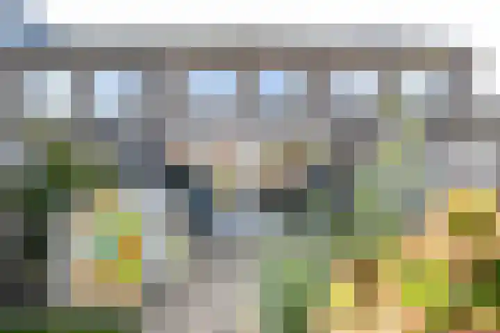 De Vriendschap 10 Zeewolde thumbnail 31