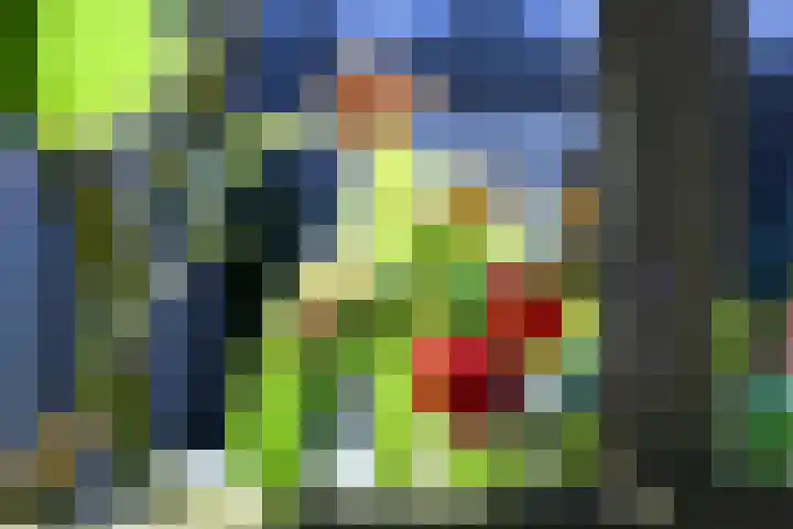 De Vriendschap 10 Zeewolde thumbnail 34
