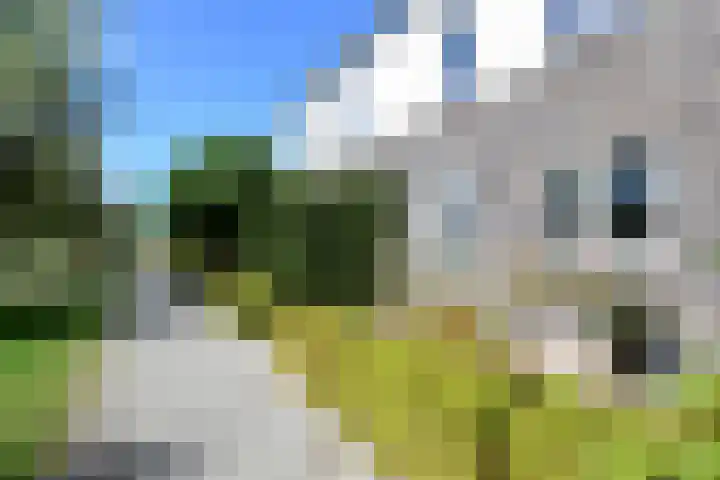 De Vriendschap 10 Zeewolde thumbnail 37