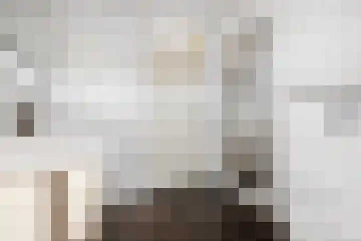 De Vriendschap 41 Amstelveen thumbnail 32