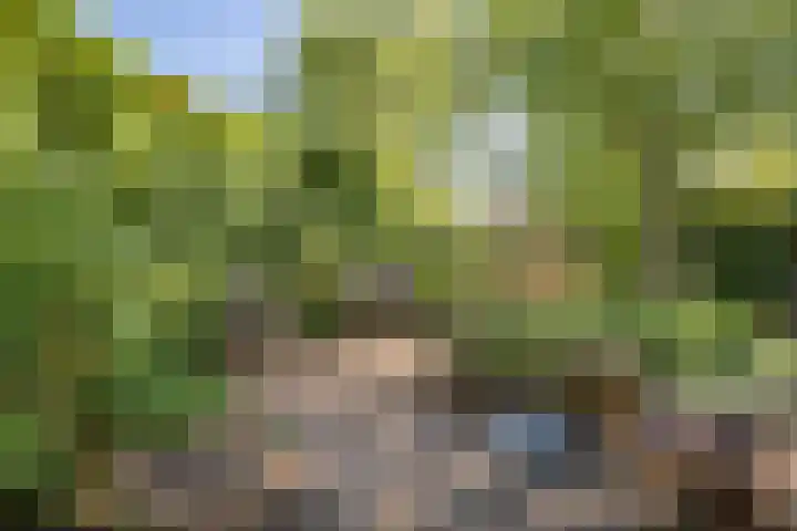 De Vriendschap 41 Amstelveen thumbnail 42