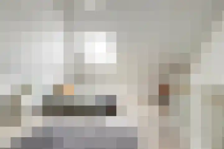 De Vriendschap 42 Zeewolde thumbnail 24