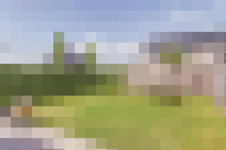 De Vriendschap 42 Zeewolde thumbnail 28