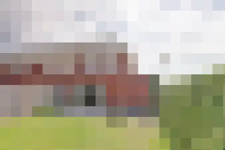 De Vriendschap 42 Zeewolde thumbnail 32
