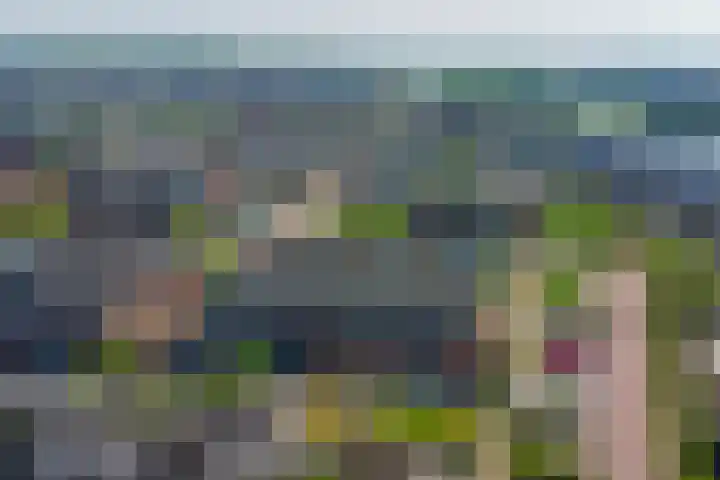 De Vriendschap 42 Zeewolde thumbnail 34