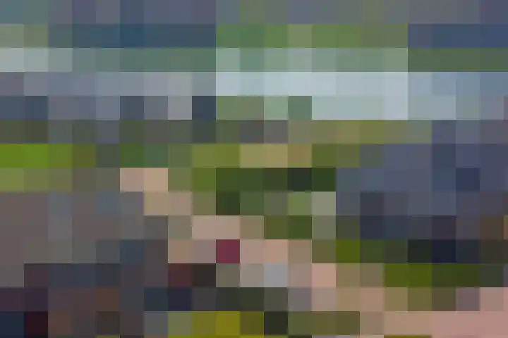 De Vriendschap 42 Zeewolde thumbnail 35