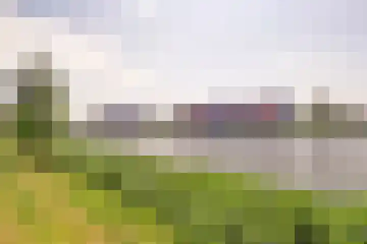 De Vriendschap 42 Zeewolde thumbnail 37
