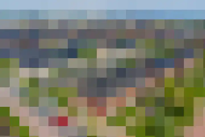 De Vriendschap 42 Zeewolde thumbnail 40