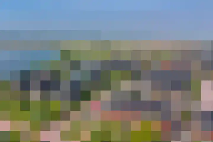 De Vriendschap 42 Zeewolde thumbnail 42