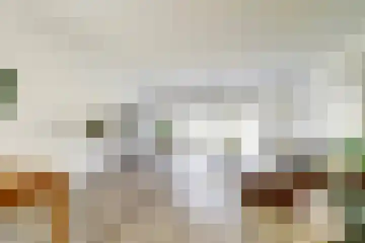 De Vriendschap 42 Zeewolde thumbnail 7