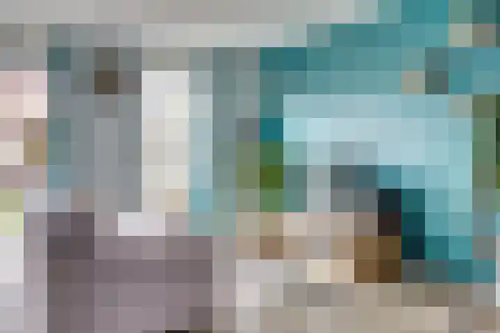 De Vriendschap 8 Zeewolde thumbnail 10