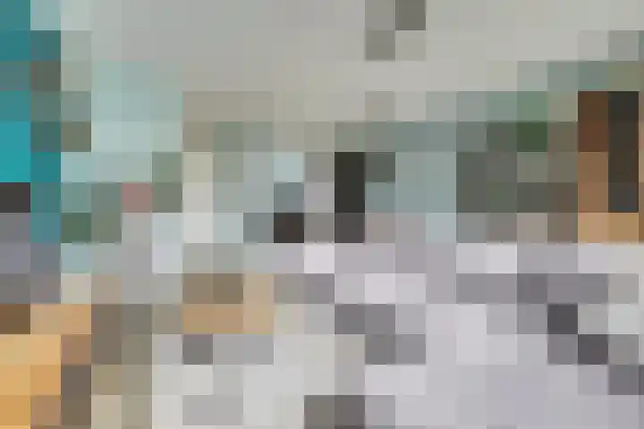 De Vriendschap 8 Zeewolde thumbnail 11