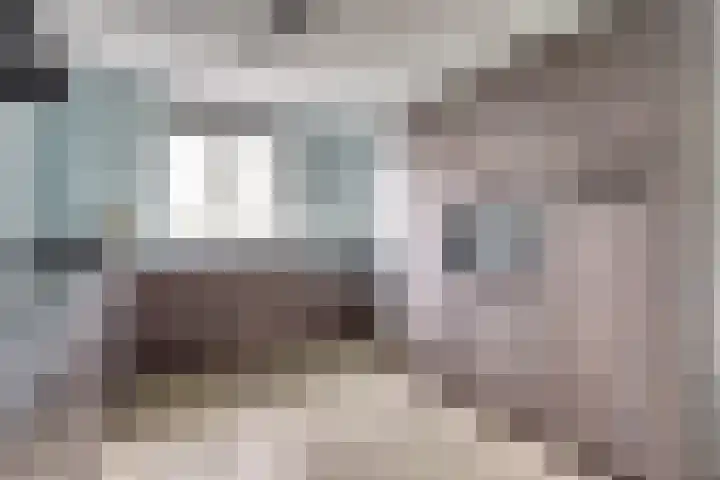 De Vriendschap 8 Zeewolde thumbnail 16