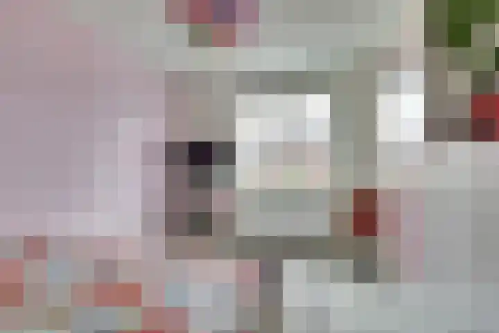 De Vriendschap 8 Zeewolde thumbnail 21