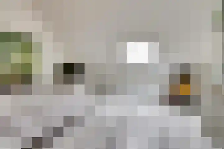 De Vriendschap 8 Zeewolde thumbnail 30