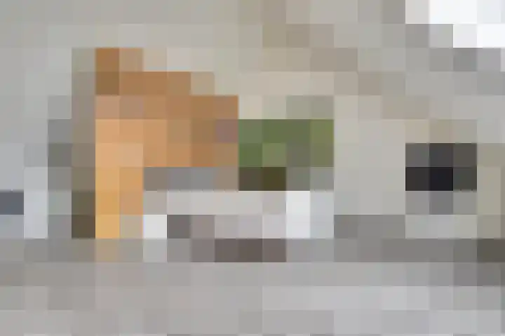 De Vriendschap 8 Zeewolde thumbnail 4