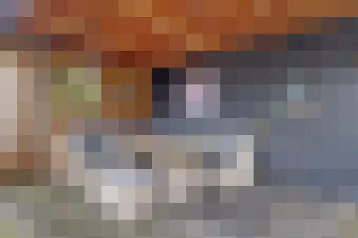 De Vriendschap 8 Zeewolde thumbnail 5