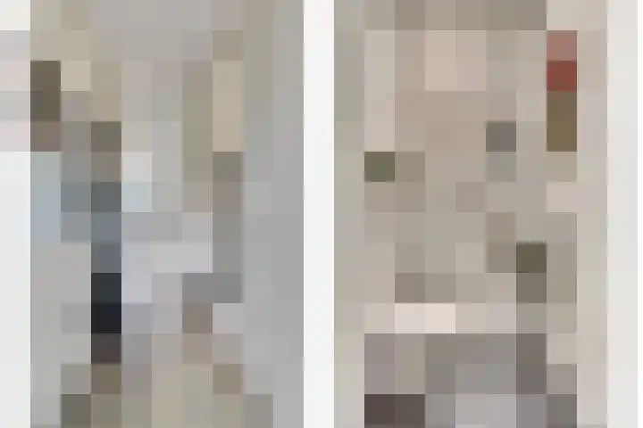De Vriendschap 8 Zeewolde thumbnail 7
