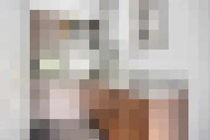 de Vriesstraat 24 E Eindhoven thumbnail 10