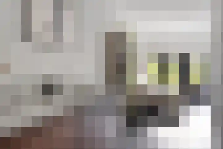 de Vriesstraat 24 E Eindhoven thumbnail 11
