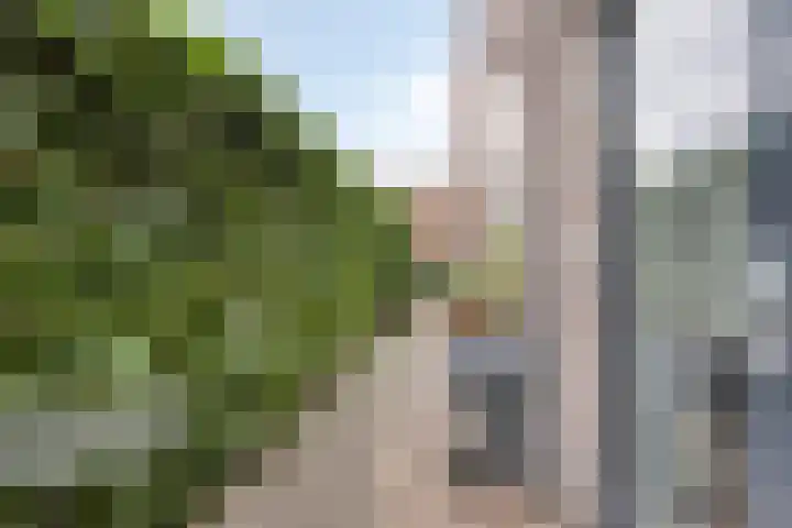 de Vriesstraat 24 E Eindhoven thumbnail 19