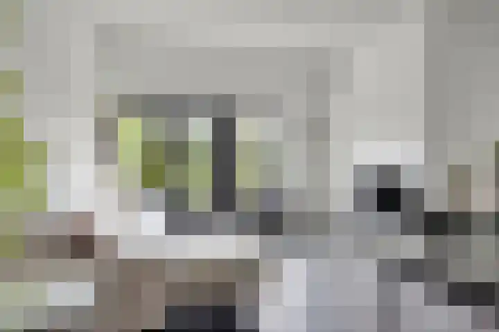 de Vriesstraat 24 E Eindhoven thumbnail 6