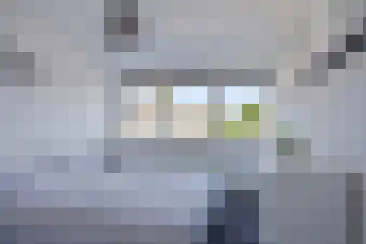 De Vriesstraat 30 Elst thumbnail 17