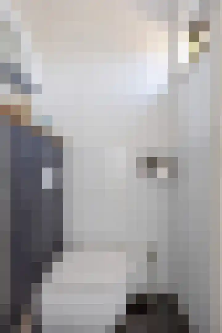 De Vriesstraat 30 Elst thumbnail 26